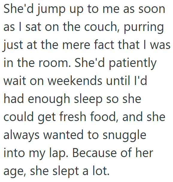 She'd jump up to me as soon as I sat on the couch, purring just at the mere fact that I was in the room. She'd patiently wait on weekends until I'd had enough sleep so she could get fresh food, and she always wanted to snuggle into my lap. Because of her age, she slept a lot.