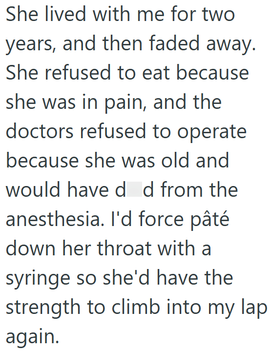 She lived with me for two years, and then faded away. She refused to eat because she was in pain, and the doctors refused to operate because she was old and would have d d from the anesthesia. I'd force pâté down her throat with a syringe so she'd have the strength to climb into my lap again.