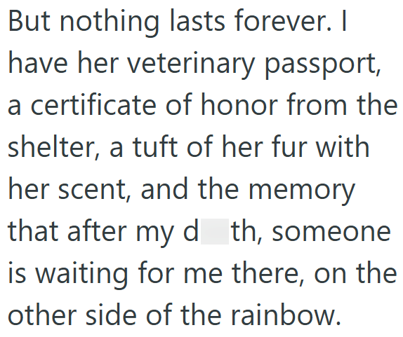 But nothing lasts forever. I have her veterinary passport, a certificate of honor from the shelter, a tuft of her fur with her scent, and the memory that after my d th, someone is waiting for me there, on the other side of the rainbow.