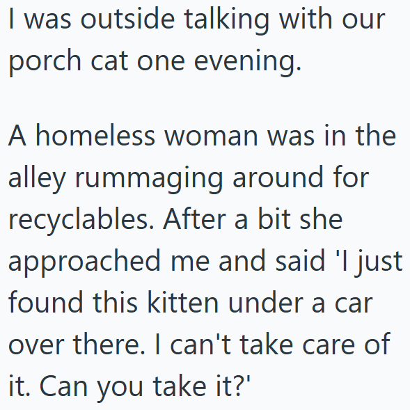 I was outside talking with our porch cat one evening. A homeless woman was in the alley rummaging around for recyclables. After a bit she approached me and said 'I just found this kitten under a car over there. I can't take care of it. Can you take it?'