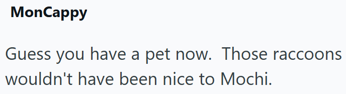 MonCappy Guess you have a pet now. Those raccoons wouldn't have been nice to Mochi.