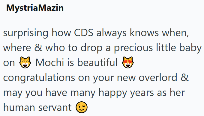 Mystria Mazin surprising how CDS always knows when, where & who to drop a precious little baby Mochi is beautiful on congratulations on your new overlord & may you have many happy years as her human servant