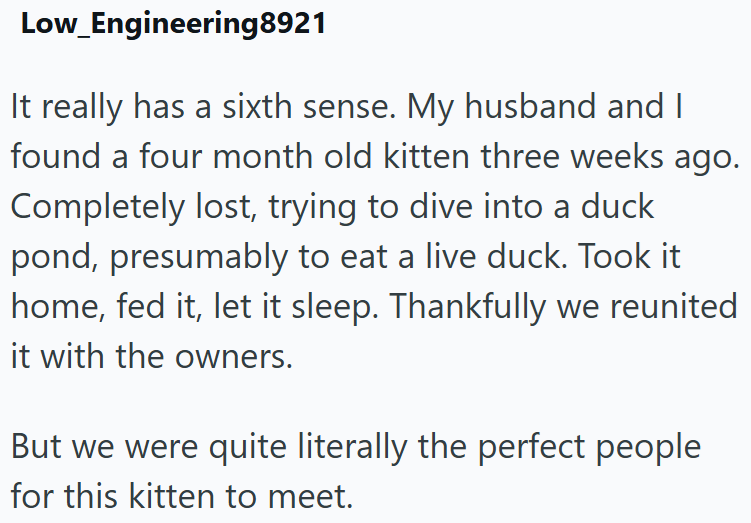 Low_Engineering8921 It really has a sixth sense. My husband and I found a four month old kitten three weeks ago. Completely lost, trying to dive into a duck pond, presumably to eat a live duck. Took it home, fed it, let it sleep. Thankfully we reunited it with the owners. But we were quite literally the perfect people for this kitten to meet.