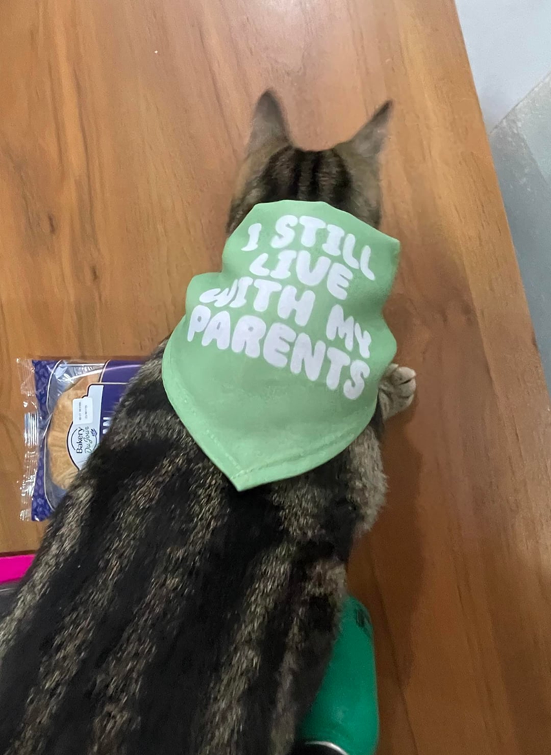 Bakery STILL LIVE PARENTS
