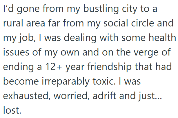 I'd gone from my bustling city to a rural area far from my social circle and my job, I was dealing with some health issues of my own and on the verge of ending a 12+ year friendship that had become irreparably toxic. I was exhausted, worried, adrift and just... lost.