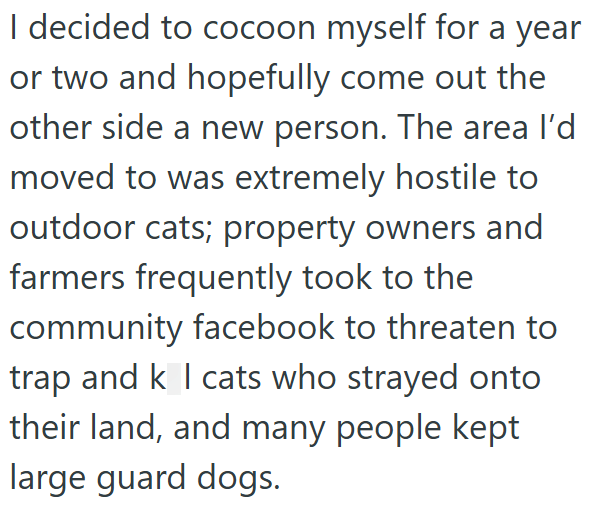 I decided to cocoon myself for a year or two and hopefully come out the other side a new person. The area I'd moved to was extremely hostile to outdoor cats; property owners and farmers frequently took to the community facebook to threaten to trap and k I cats who strayed onto their land, and many people kept large guard dogs.