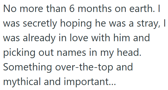 No more than 6 months on earth. I was secretly hoping he was a stray, I was already in love with him and picking out names in my head. Something over-the-top and mythical and important...