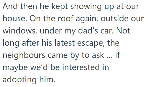 And then he kept showing up at our house. On the roof again, outside our windows, under my dad's car. Not long after his latest escape, the neighbours came by to ask... if maybe we'd be interested in adopting him.