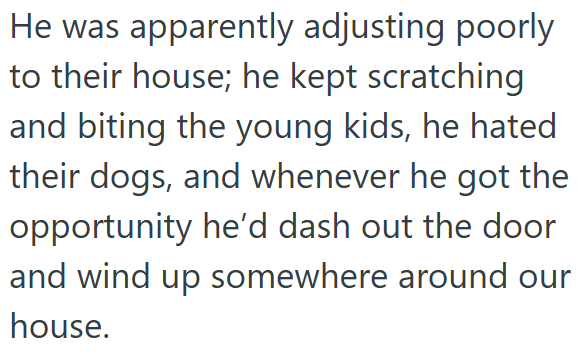 He was apparently adjusting poorly to their house; he kept scratching and biting the young kids, he hated their dogs, and whenever he got the opportunity he'd dash out the door and wind up somewhere around our house.