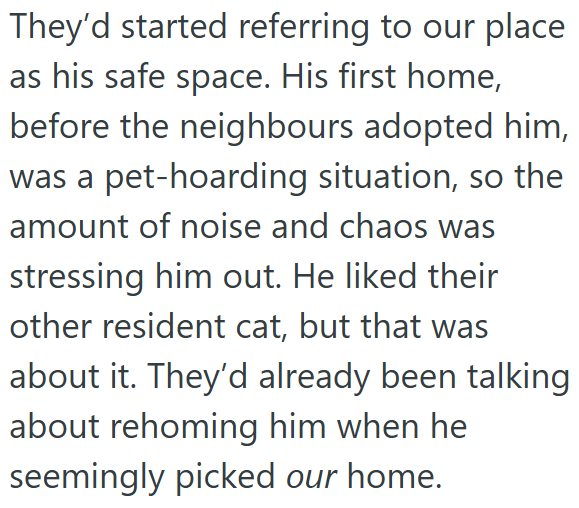 They'd started referring to our place as his safe space. His first home, before the neighbours adopted him, was a pet-hoarding situation, so the amount of noise and chaos was stressing him out. He liked their other resident cat, but that was about it. They'd already been talking about rehoming him when he seemingly picked our home.