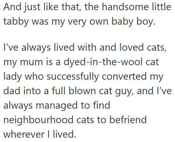 And just like that, the handsome little tabby was my very own baby boy. I've always lived with and loved cats, my mum is a dyed-in-the-wool cat lady who successfully converted my dad into a full blown cat guy, and I've always managed to find neighbourhood cats to befriend wherever I lived.