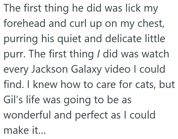 The first thing he did was lick my forehead and curl up on my chest, purring his quiet and delicate little purr. The first thing I did was watch every Jackson Galaxy video I could find. I knew how to care for cats, but Gil's life was going to be as wonderful and perfect as I could make it...
