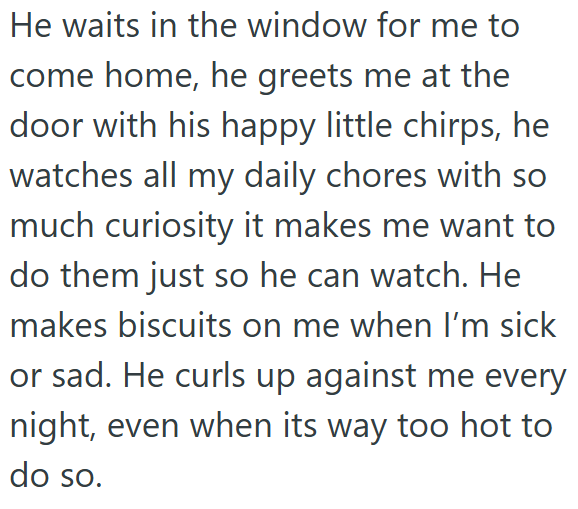 He waits in the window for me to come home, he greets me at the door with his happy little chirps, he watches all my daily chores with so much curiosity it makes me want to do them just so he can watch. He makes biscuits on me when I'm sick or sad. He curls up against me every night, even when its way too hot to do so.