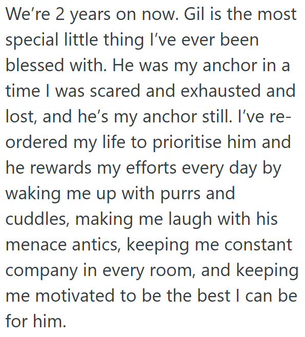 We're 2 years on now. Gil is the most special little thing I've ever been blessed with. He was my anchor in a time I was scared and exhausted and lost, and he's my anchor still. I've re- ordered my life to prioritise him and he rewards my efforts every day by waking me up with purrs and cuddles, making me laugh with his menace antics, keeping me constant company in every room, and keeping me motivated to be the best I can be for him.