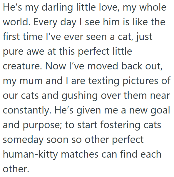 He's my darling little love, my whole world. Every day I see him is like the first time I've ever seen a cat, just pure awe at this perfect little creature. Now I've moved back out, my mum and I are texting pictures of our cats and gushing over them near constantly. He's given me a new goal and purpose; to start fostering cats someday soon so other perfect human-kitty matches can find each other.