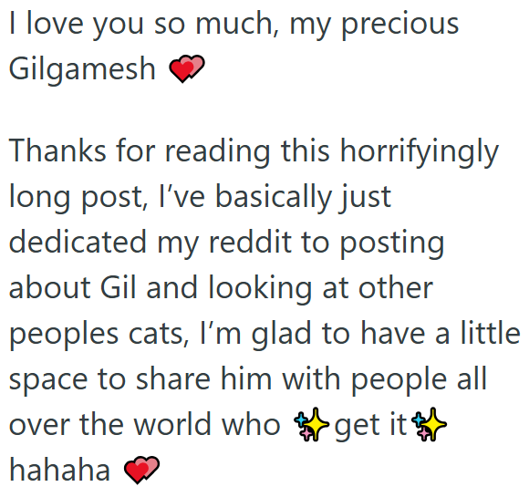 I love you so much, my precious Gilgamesh ❤ Thanks for reading this horrifyingly long post, I've basically just dedicated my reddit to posting about Gil and looking at other peoples cats, I'm glad to have a little space to share him with people all over the world who hahaha get it