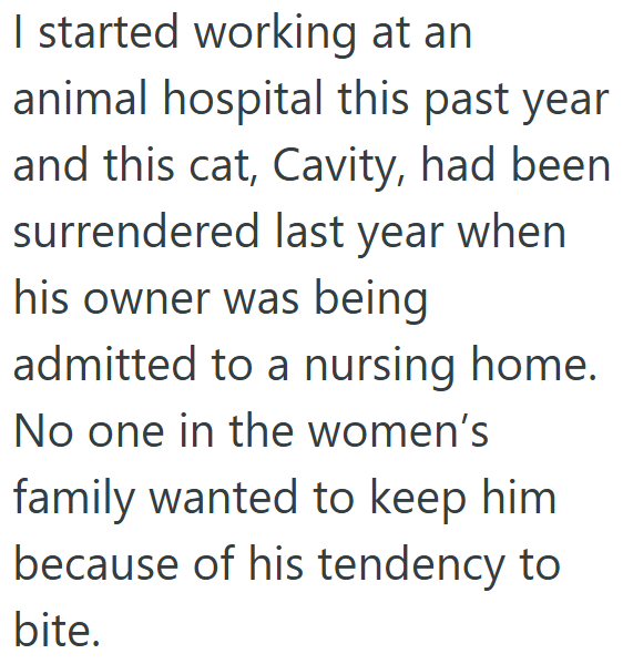I started working at an animal hospital this past year and this cat, Cavity, had been surrendered last year when his owner was being admitted to a nursing home. No one in the women's family wanted to keep him because of his tendency to bite.