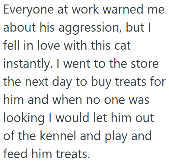 Everyone at work warned me about his aggression, but I fell in love with this cat instantly. I went to the store the next day to buy treats for him and when no one was looking I would let him out of the kennel and play and feed him treats.