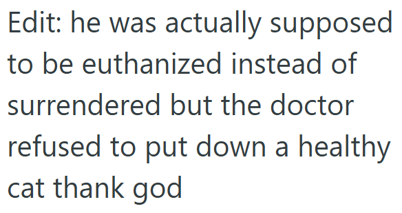 Edit: he was actually supposed to be euthanized instead of surrendered but the doctor refused to put down a healthy cat thank god