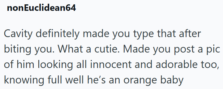 nonEuclidean64 Cavity definitely made you type that after biting you. What a cutie. Made you post a pic of him looking all innocent and adorable too, knowing full well he's an orange baby
