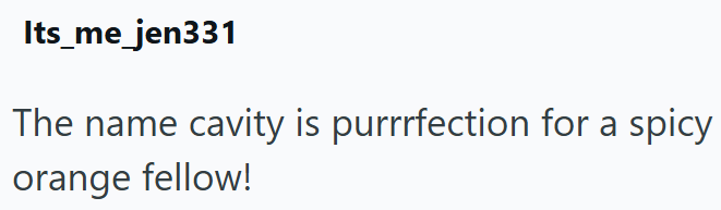 Its_me_jen331 The name cavity is purrrfection for a spicy orange fellow!
