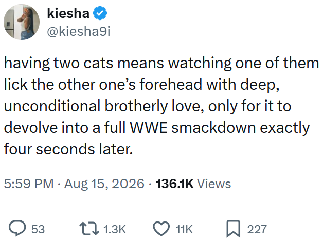 kiesha @kiesha9i having two cats means watching one of them lick the other one's forehead with deep, unconditional brotherly love, only for it to devolve into a full WWE smackdown exactly four seconds later. 5:59 PM Aug 15, 2026 136.1K Views 53 11.3K 11K ☐ 227