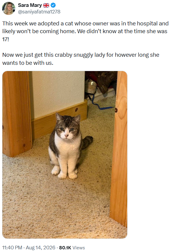 Sara Mary ❤ @saniyafatma1278 This week we adopted a cat whose owner was in the hospital and likely won't be coming home. We didn't know at the time she was 17! Now we just get this crabby snuggly lady for however long she wants to be with us. 11:40 PM - Aug 14, 2026 -80.1K Views