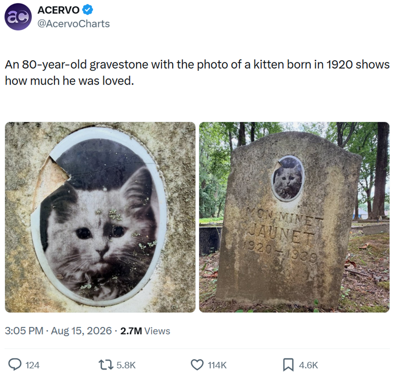 ac ACERVO @AcervoCharts An 80-year-old gravestone with the photo of a kitten born in 1920 shows how much he was loved. 3:05 PM - Aug 15, 2026 · 2.7M Views 124 1 5.8K MON MINET JAUNET 1920 1939 114K ☐ 4.6K