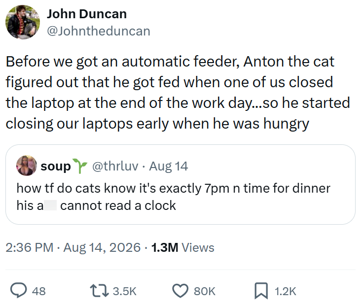 John Duncan @Johntheduncan Before we got an automatic feeder, Anton the cat figured out that he got fed when one of us closed the laptop at the end of the work day...so he started closing our laptops early when he was hungry soup@thrluv. Aug 14 how tf do cats know it's exactly 7pm n time for dinner cannot read a clock his a 2:36 PM Aug 14, 2026 1.3M Views • 48 13.5K 80K ☐ 1.2K