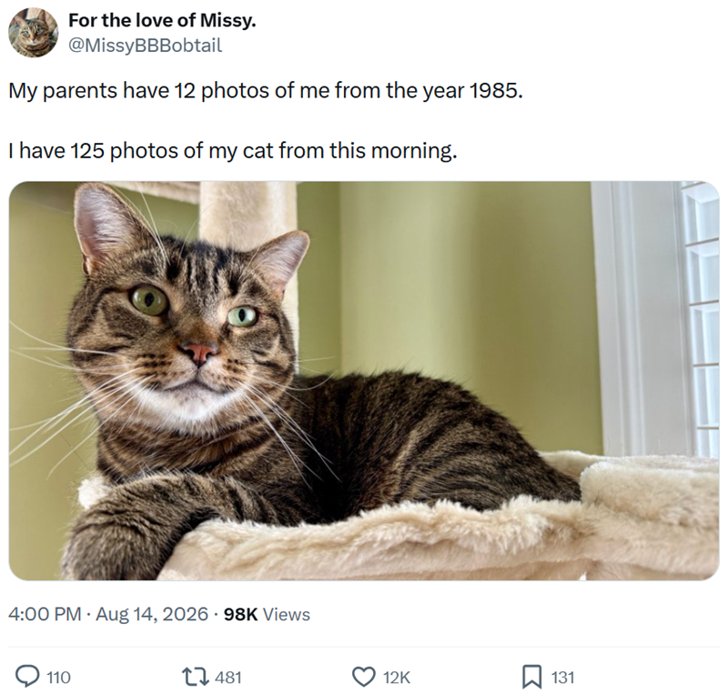 For the love of Missy. @MissyBBBobtail My parents have 12 photos of me from the year 1985. I have 125 photos of my cat from this morning. 4:00 PM • Aug 14, 2026 - 98K Views 110 481 12K 131