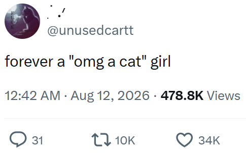 @unusedcartt forever a "omg a cat" girl • 12:42 AM · Aug 12, 2026 478.8K Views 31 10K 34K
