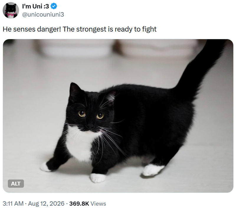 I'm Uni :3 @unicouniuni3 He senses danger! The strongest is ready to fight ALT 3:11 AM • Aug 12, 2026 369.8K Views