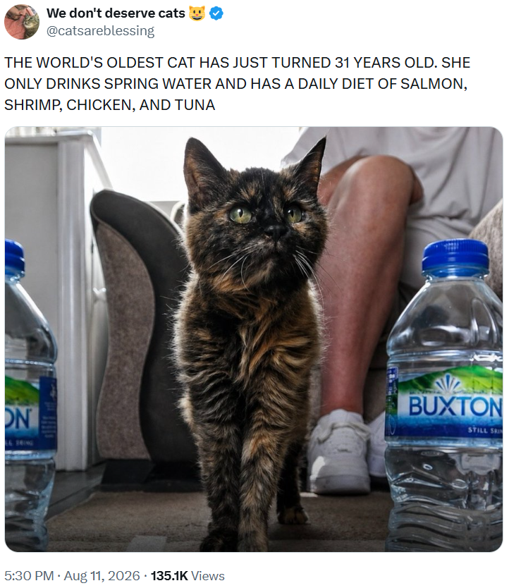 We don't deserve cats @catsareblessing THE WORLD'S OLDEST CAT HAS JUST TURNED 31 YEARS OLD. SHE ONLY DRINKS SPRING WATER AND HAS A DAILY DIET OF SALMON, SHRIMP, CHICKEN, AND TUNA ON 5:30 PM. Aug 11, 2026 135.1K Views BUXTON STILL SKI