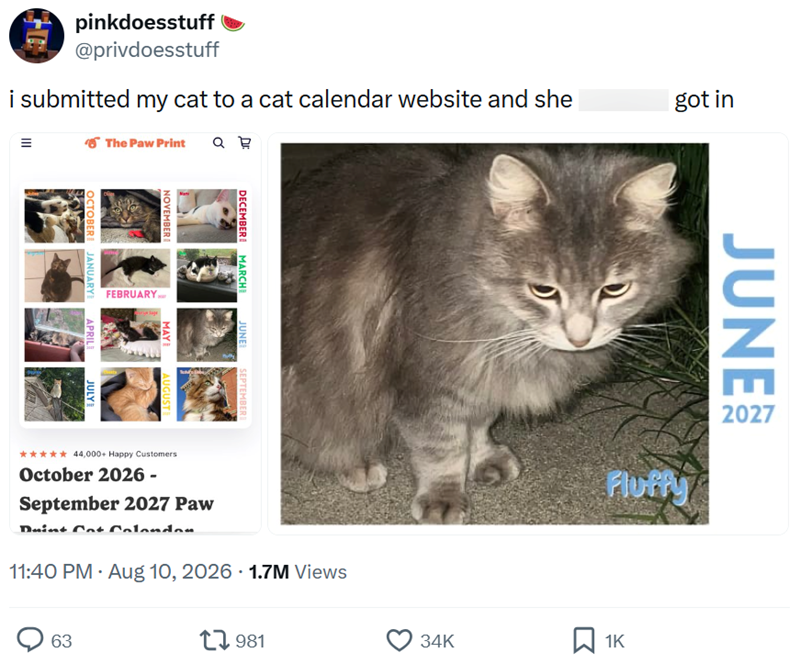 pinkdoesstuff @privdoesstuff i submitted my cat to a cat calendar website and she III = The Paw Print ав got in NOVEMBER DECEMBER MARCH JUNE SEPTEMBER FEBRUARY... OCTOBER JANUARY APRIL JULY MAYI AUGUST ✶✶✶✶✶ 44,000+ Happy Customers October 2026 - September 2027 Paw Duint Cat Colondon 11:40 PM - Aug 10, 2026 1.7M Views 63 1981 JUNE 2027 Fluffy 34K ☐ 1K