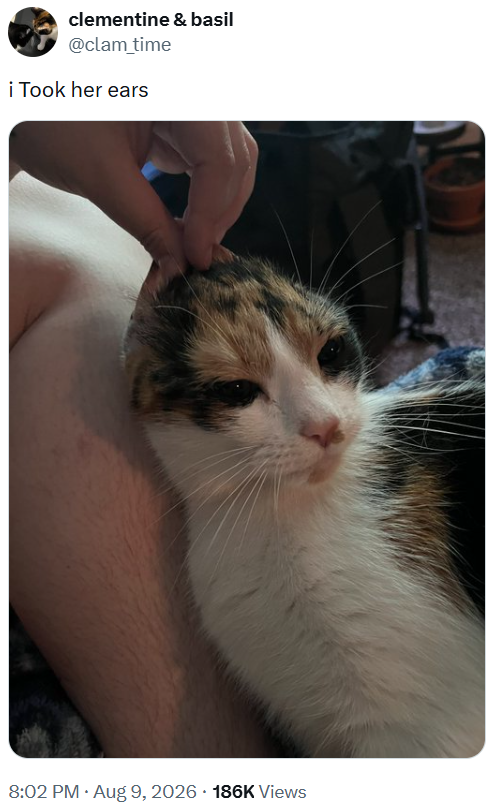 clementine & basil @clam_time i Took her ears 8:02 PM • Aug 9, 2026 186K Views