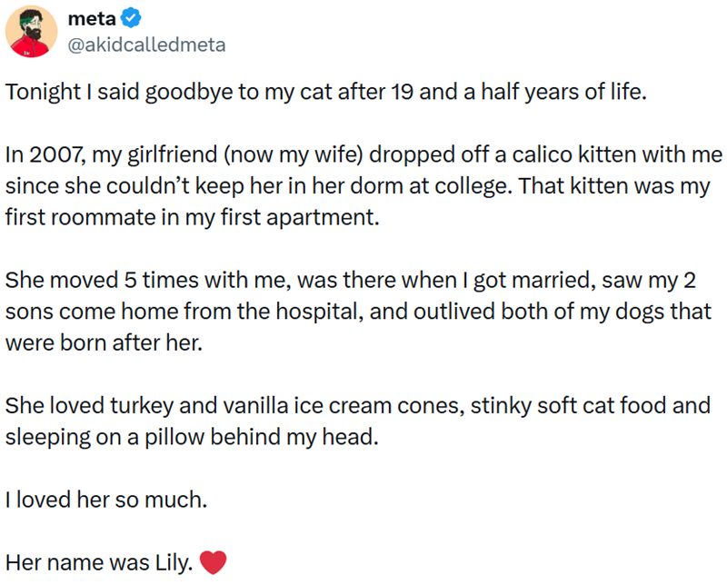meta @akidcalledmeta Tonight I said goodbye to my cat after 19 and a half years of life. In 2007, my girlfriend (now my wife) dropped off a calico kitten with me since she couldn't keep her in her dorm at college. That kitten was my first roommate in my first apartment. She moved 5 times with me, was there when I got married, saw my 2 sons come home from the hospital, and outlived both of my dogs that were born after her. She loved turkey and vanilla ice cream cones, stinky soft cat food and sle