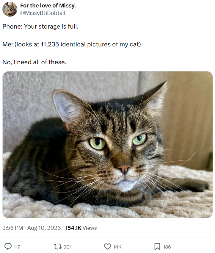 For the love of Missy. @MissyBBBobtail Phone: Your storage is full. Me: (looks at 11,235 identical pictures of my cat) No, I need all of these. . 3:56 PM • Aug 10, 2026 154.1K Views 117 1901 14K ☐ 186