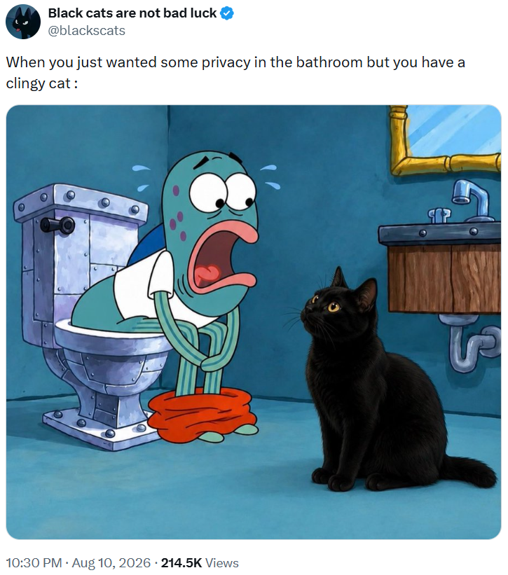 Black cats are not bad luck @blackscats When you just wanted some privacy in the bathroom but you have a clingy cat: • • 10:30 PM ⚫ Aug 10, 2026 214.5K Views SP S
