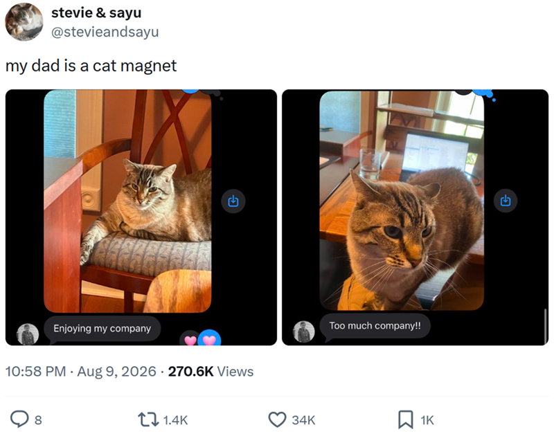 stevie & sayu @stevieandsayu my dad is a cat magnet Enjoying my company 10:58 PM • Aug 9, 2026 270.6K Views 8 1.4K Too much company!! 34K ☐ 1K €