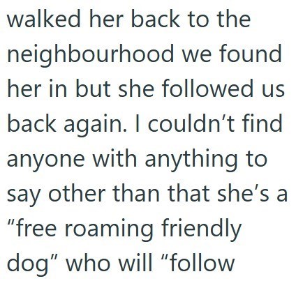 walked her back to the neighbourhood we found her in but she followed us back again. I couldn't find anyone with anything to say other than that she's a "free roaming friendly dog" who will "follow