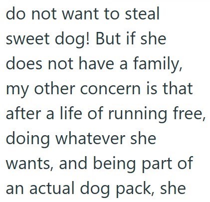do not want to steal sweet dog! But if she does not have a family, my other concern is that after a life of running free, doing whatever she wants, and being part of an actual dog pack, she