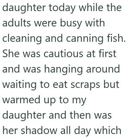 daughter today while the adults were busy with cleaning and canning fish. She was cautious at first and was hanging around waiting to eat scraps but warmed up to my daughter and then was her shadow all day which
