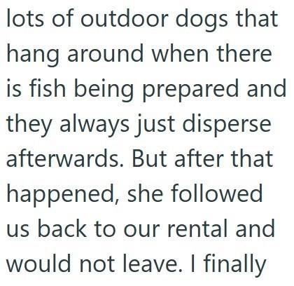 lots of outdoor dogs that hang around when there is fish being prepared and they always just disperse afterwards. But after that happened, she followed us back to our rental and would not leave. I finally