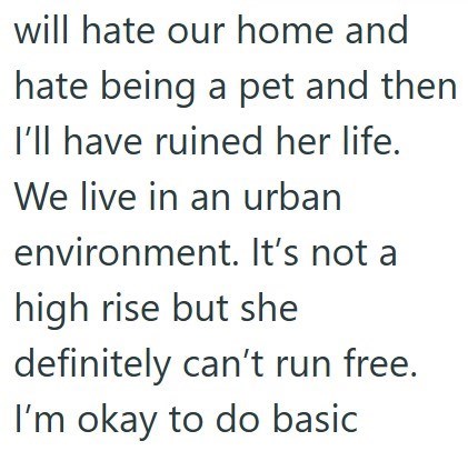 will hate our home and hate being a pet and then. I'll have ruined her life. We live in an urban environment. It's not a high rise but she definitely can't run free. I'm okay to do basic