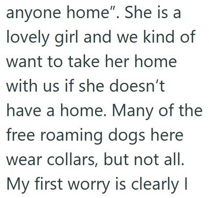 anyone home". She is a lovely girl and we kind of want to take her home with us if she doesn't have a home. Many of the free roaming dogs here wear collars, but not all. My first worry is clearly I