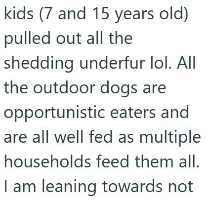 kids (7 and 15 years old) pulled out all the shedding underfur lol. All the outdoor dogs are opportunistic eaters and are all well fed as multiple households feed them all. I am leaning towards not