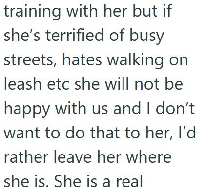 training with her but if she's terrified of busy streets, hates walking on leash etc she will not be happy with us and I don't want to do that to her, I'd rather leave her where she is. She is a real