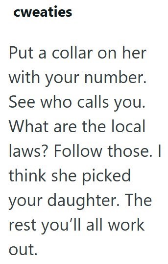 cweaties Put a collar on her with your number. See who calls you. What are the local laws? Follow those. I think she picked your daughter. The rest you'll all work out.