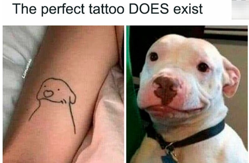 The perfect tattoo DOES exist