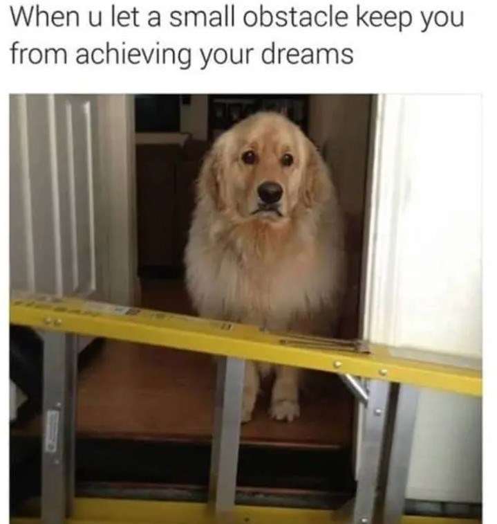 When u let a small obstacle keep you from achieving your dreams